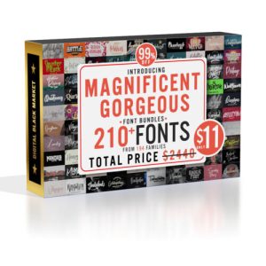 ID064 194 Magnificent Fonts Bundle 251
