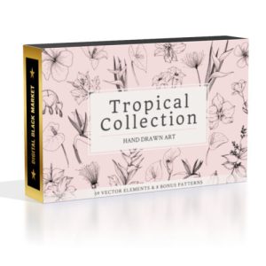 Tropical Leaves And Flowers