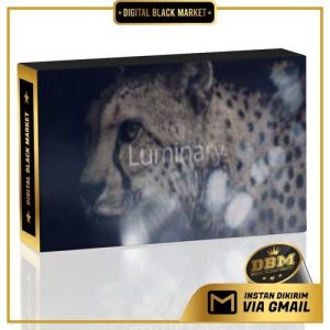 Lens Distortions - Luminary