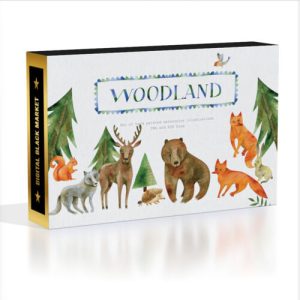 Set of Watercolor Illustrations